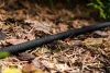 Csepegtető tömlő 15m, 1/2", 8bar, állítható vízmennyiség