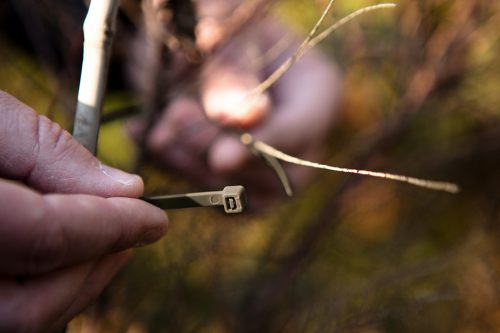 Kerti kötegelő, gyorskötöző 7.6x380mm, 50db, barna, min. rendelés: 5cs