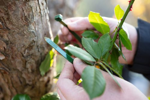 Kerti kötegelő, gyorskötöző 7.6x380mm, 50db, zöld, min. rendelés: 5cs