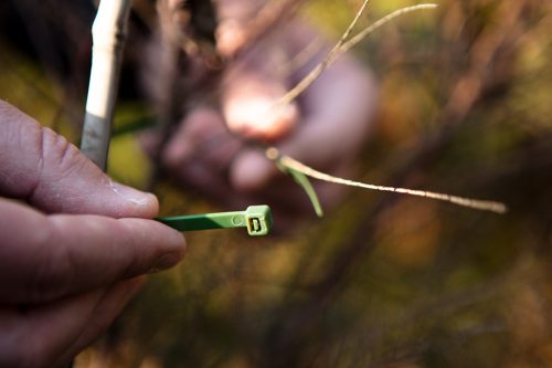 Kerti kötegelő, gyorskötöző 7.6x380mm, 50db, zöld, min. rendelés: 5cs