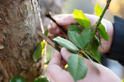 Kerti kötegelő, gyorskötöző 4.8x300mm, 50db, barna, min. rendelés: 5cs