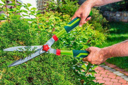 Sövényvágó olló 550mm, penge 200mm