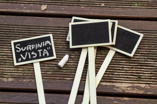 Leszúrható növényjelölő tábla, 5db, min. rendelés: 5db