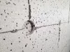 Polisztirol maró, dűbeltárcsához, 68mm, műanyag