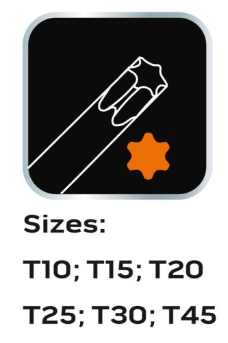 Torxkulcs készlet T markolattal, műhelykocsitálcával, 6db
