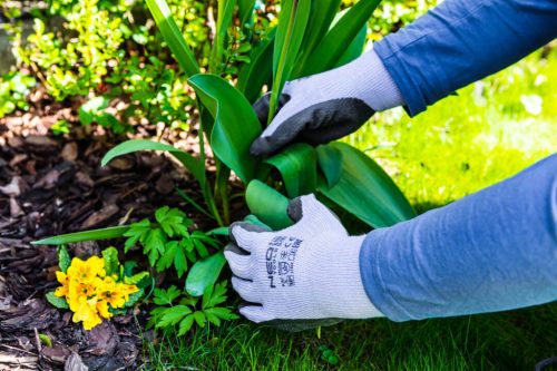Munkakesztyű latex bevonatú pamut poliészterrel, 2143x, 8", min. rendelés: 5pár