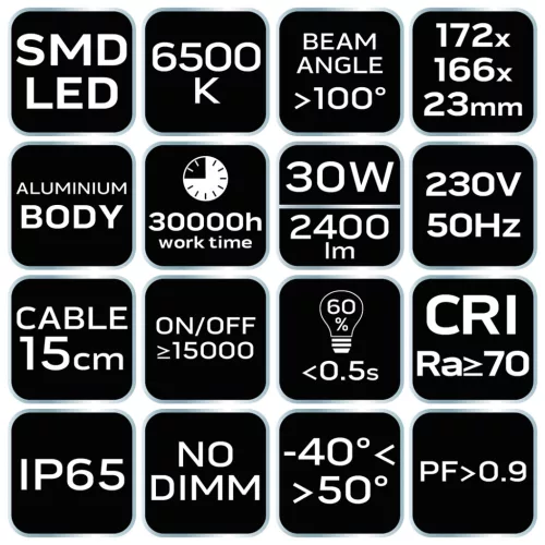 Reflektor 230V/30W, 2400lum, SMD LED